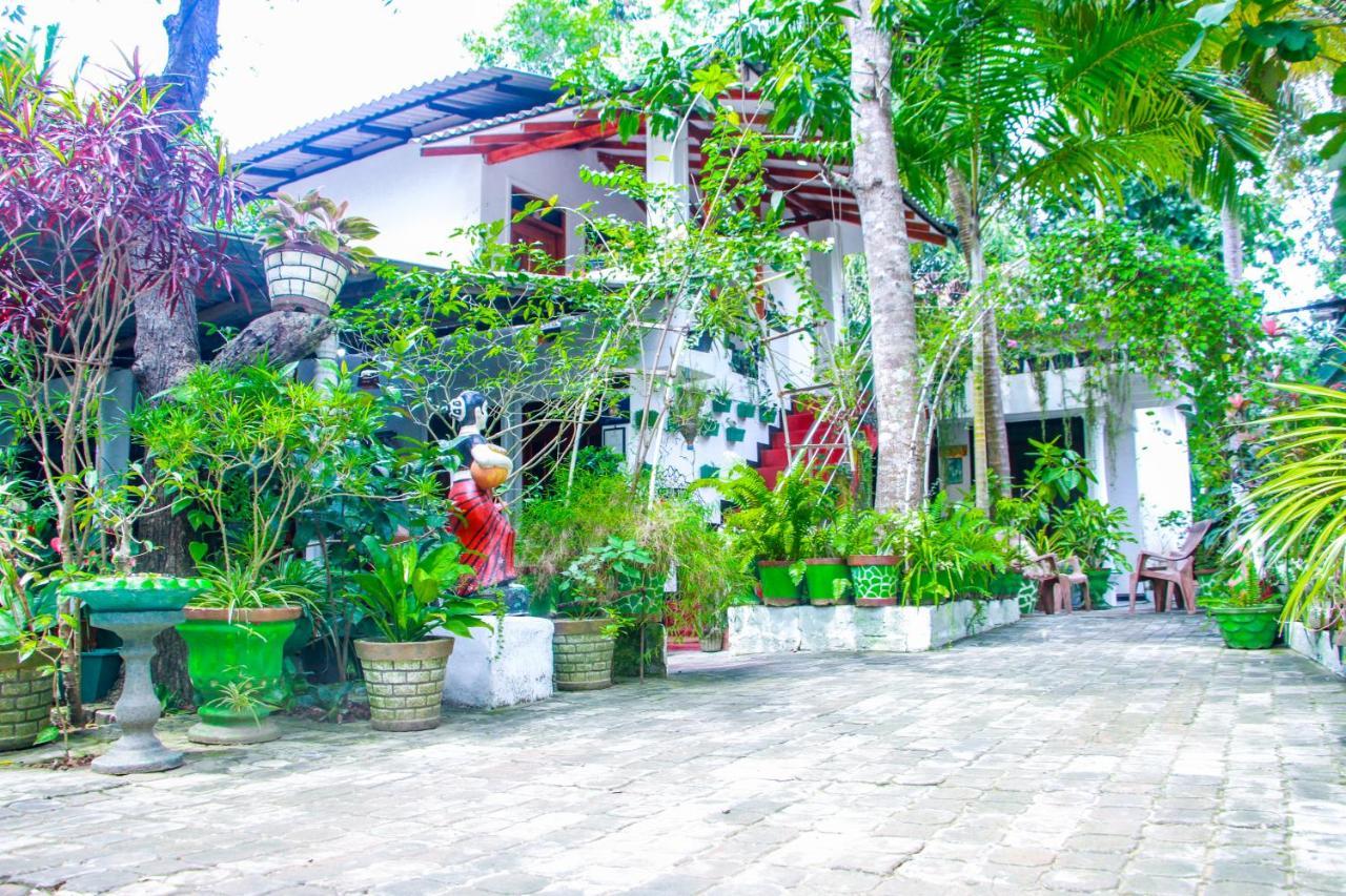 Sigiri Tarushan Home Stay Sigiriya Dış mekan fotoğraf