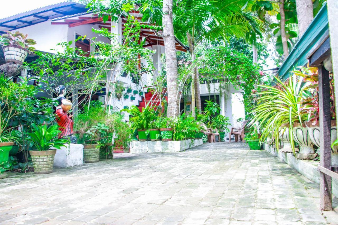 Sigiri Tarushan Home Stay Sigiriya Dış mekan fotoğraf